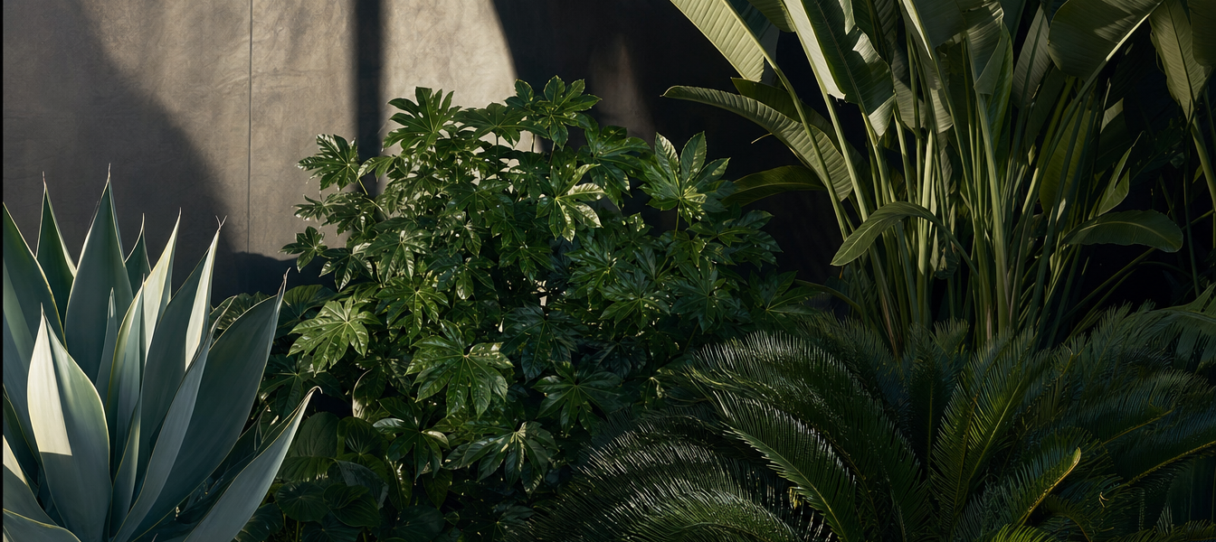 The Architectural Plant List: 10 Species That Structure a Garden