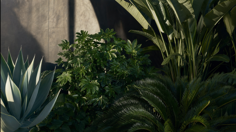 The Architectural Plant List: 10 Species That Structure a Garden