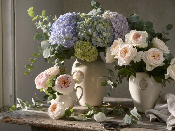 Cutting Season: How to Bring the Garden Inside, One Stem at a Time